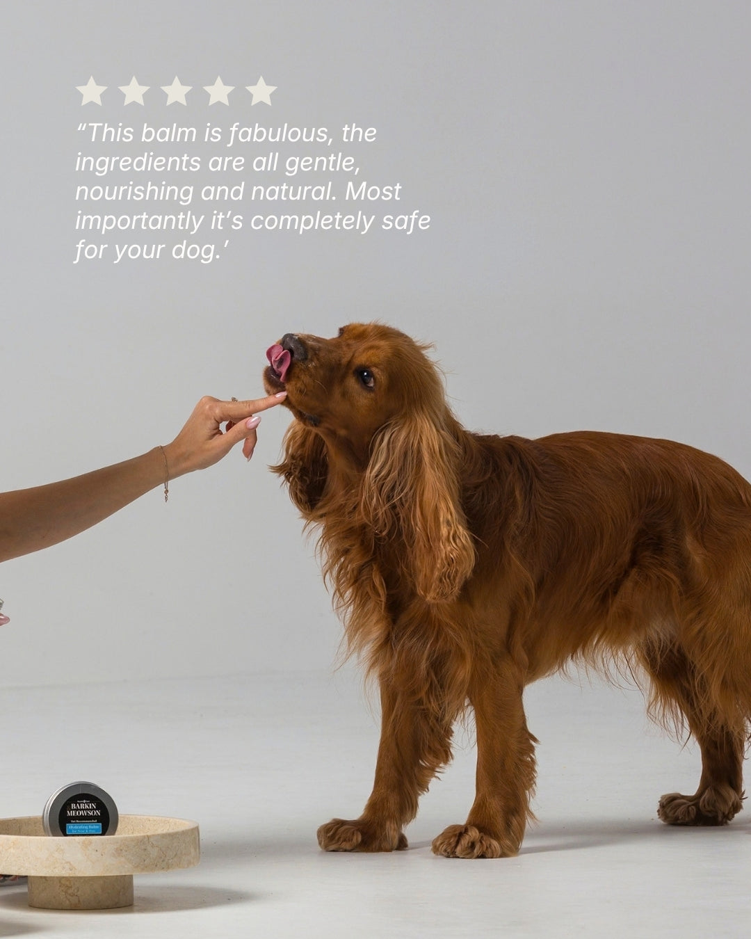 Hydrating Paw & Nose Balm