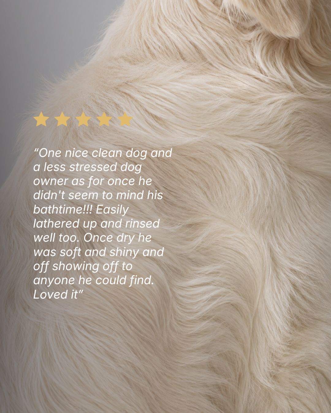 Brightening Shampoo for Light Coat