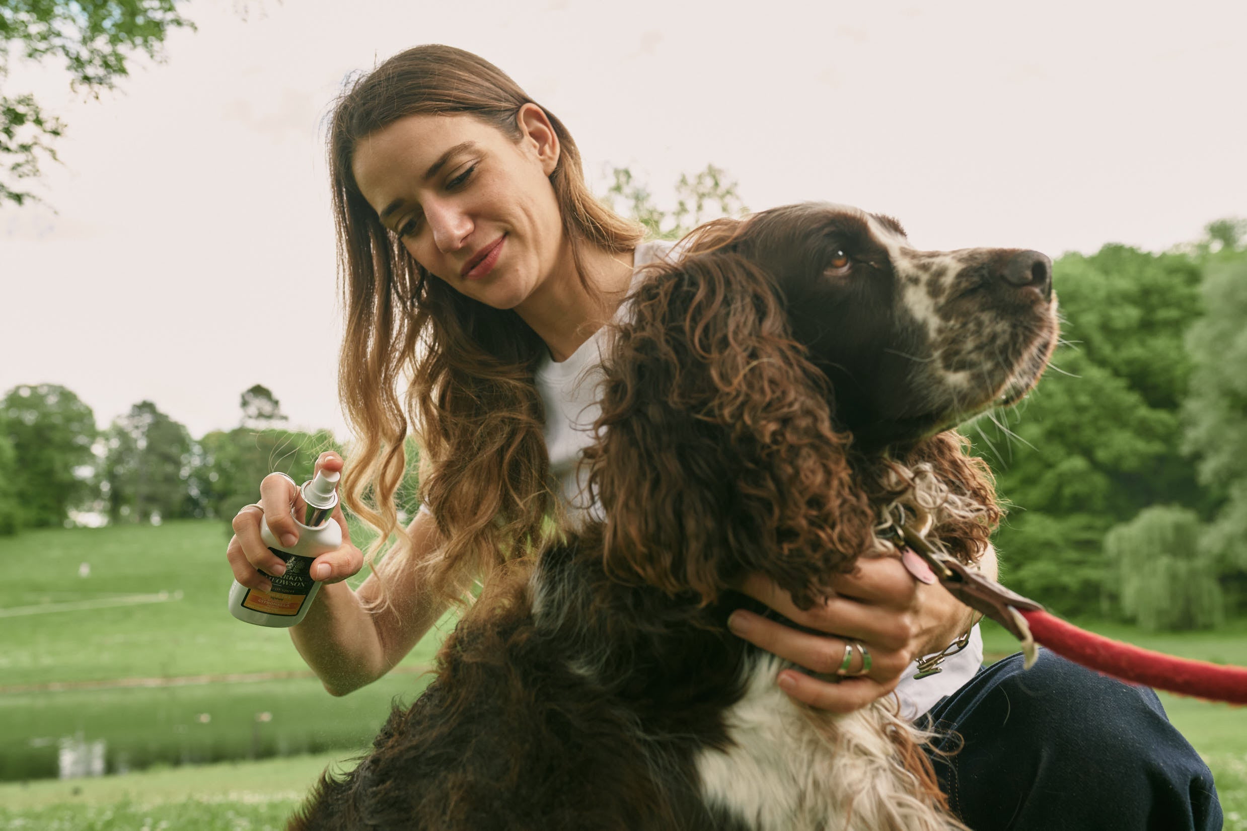 How Natural Flea & Tick Protection Works — And How to Use It Well