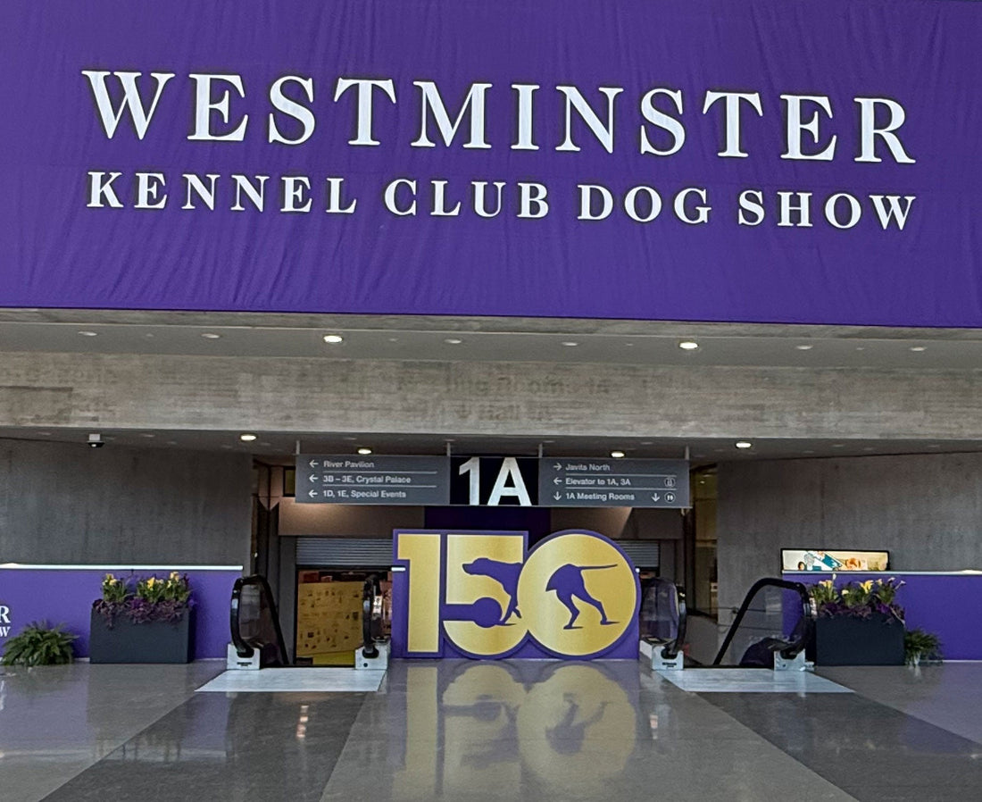 Barkin & Meowson Is Heading to New York!