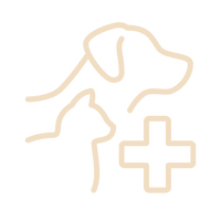 Vet Approved & Recommended