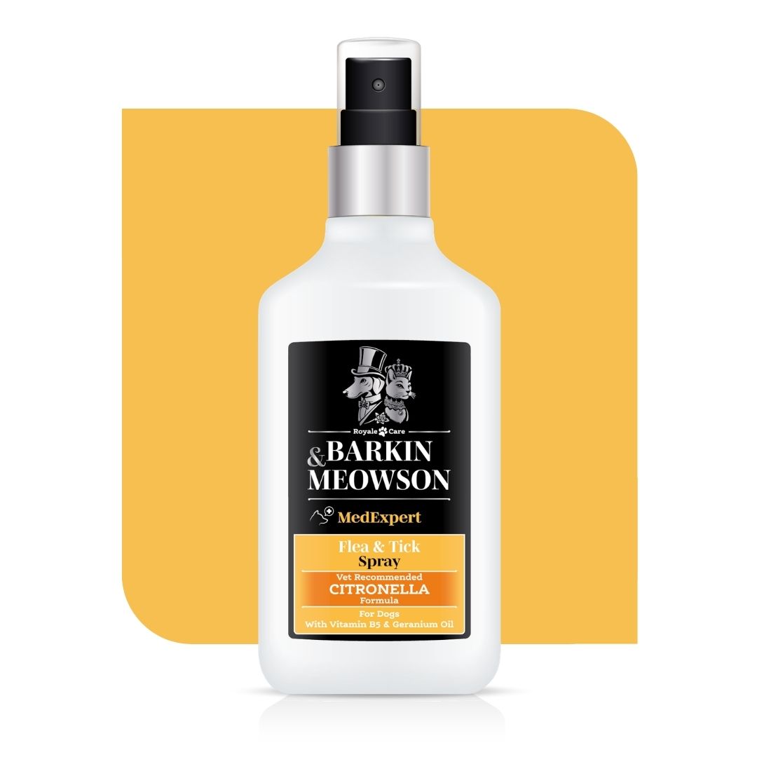 Flea & Tick Spray