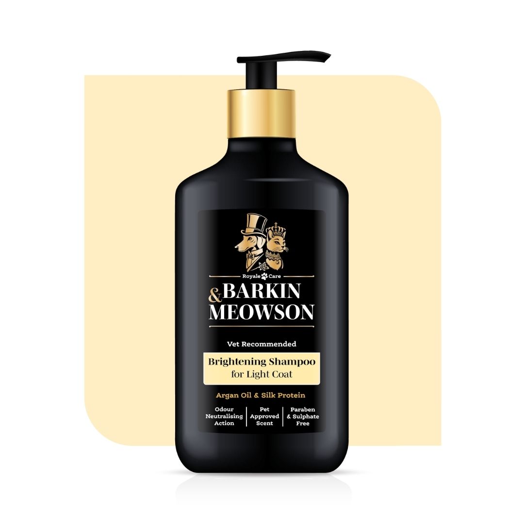 Barkin Meowson shampoo bottle on a beige background