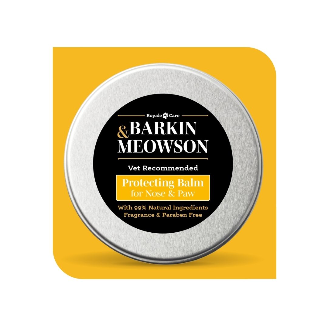 Balm tin labeled 'Barkin Meowson' on a yellow background
