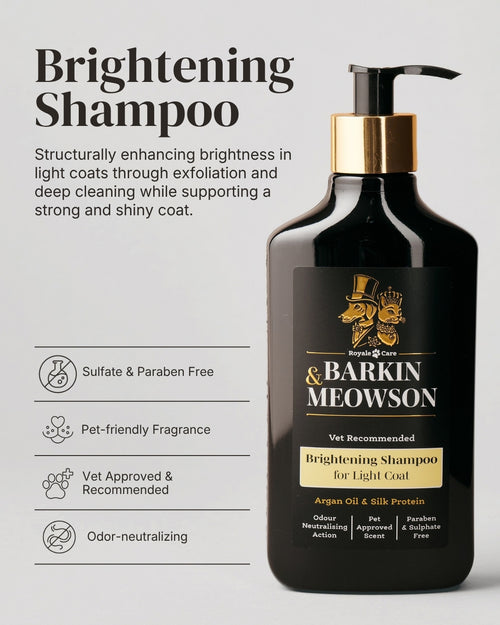 Brightening Shampoo bottle by Barkin & Meowson on a light gray background with product text and feature icons on the left. The bottle is black with a gold pump and a black-and-gold label.