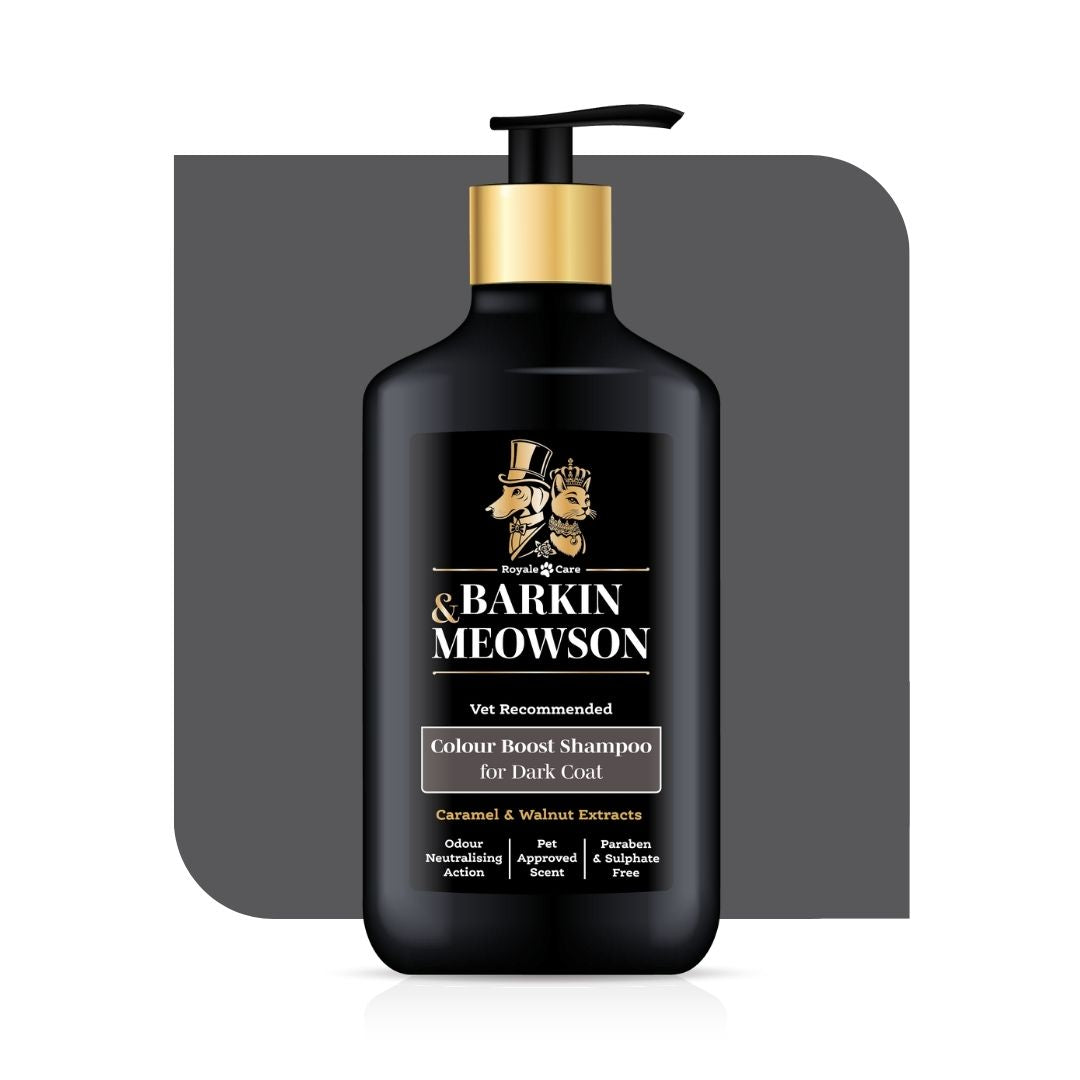 Dark Coat Shampoo