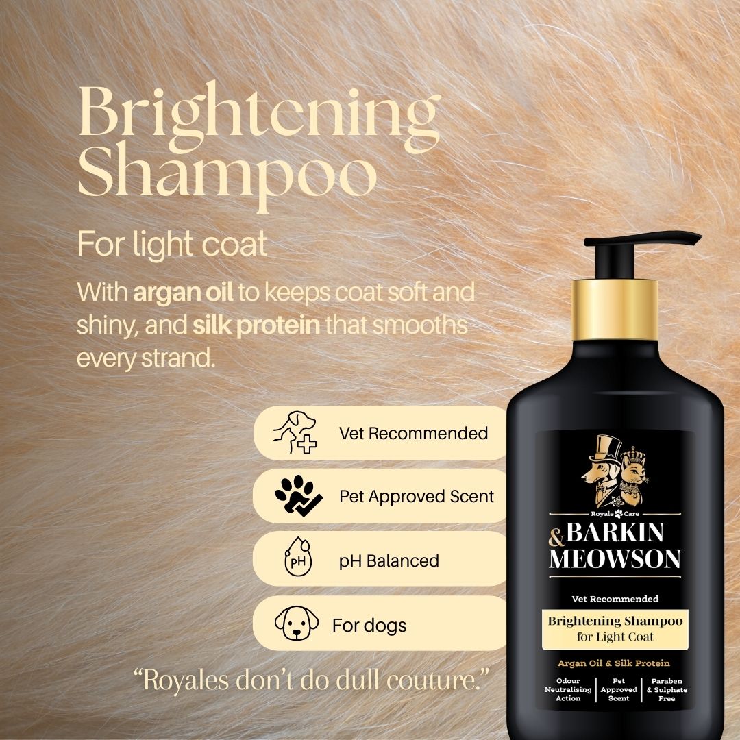 Barkin & Meowson brightening shampoo bottle with product details on a fur background