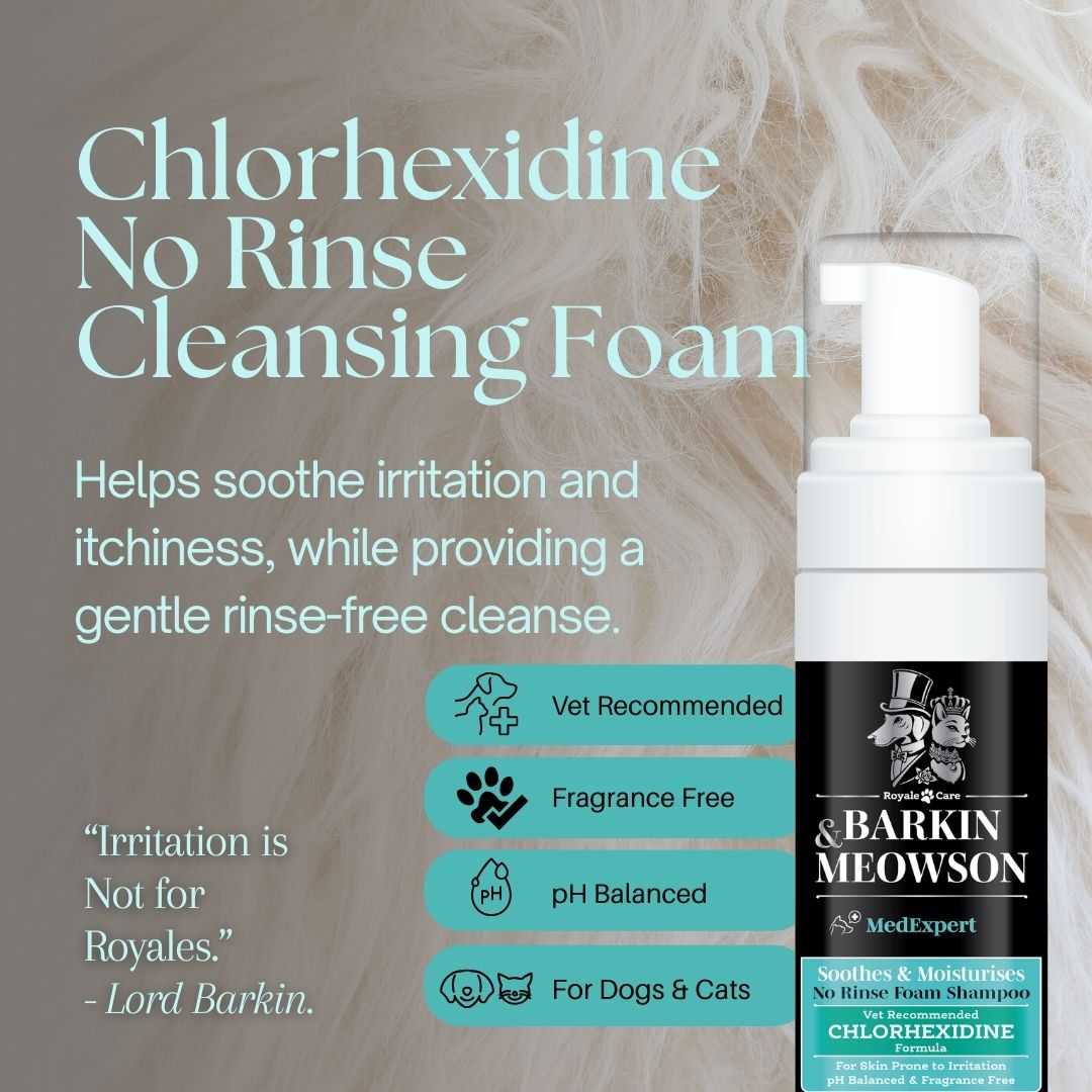 No-Rinse Dog & Cat Shampoo | Vet Approved | Barkin & Meowson