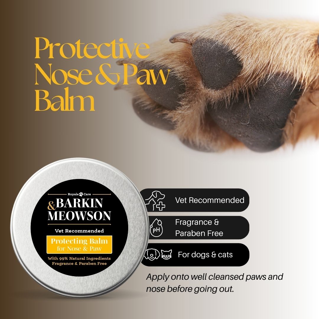 Barkin' Meowson protective nose and paw balm with a close-up of a dog's paw.