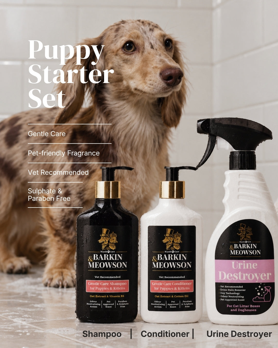 Puppy & Kitten Starter Set