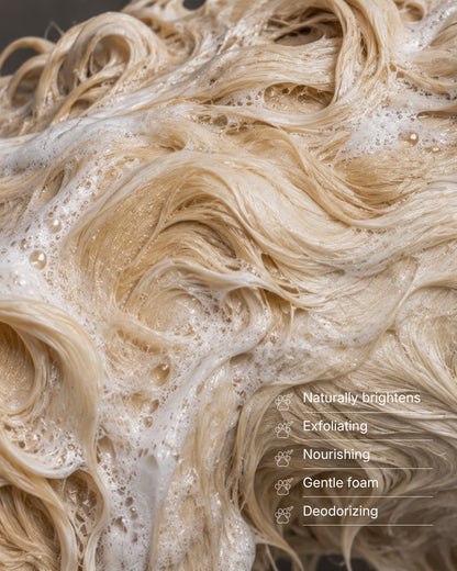 Brightening Shampoo for Light Coat