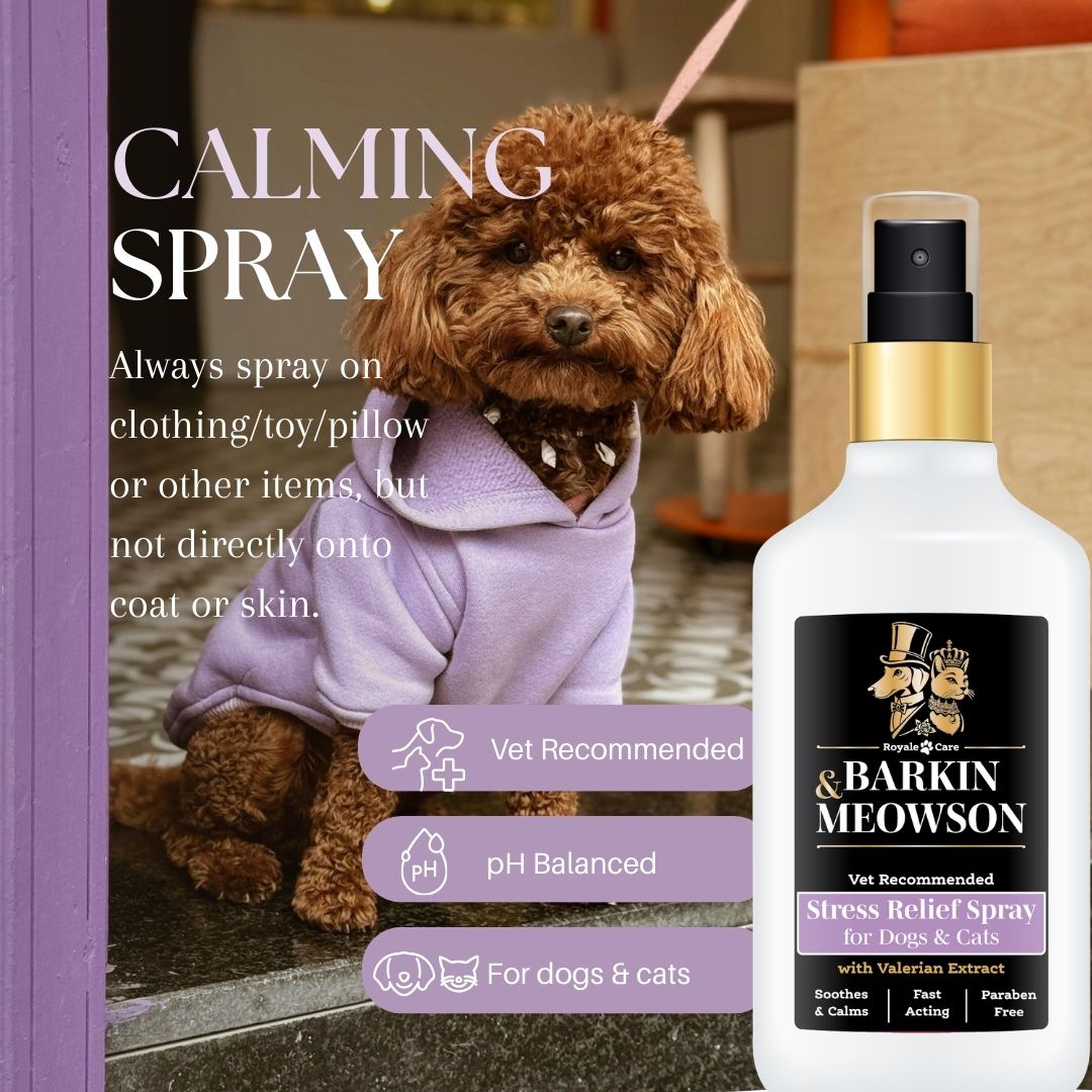 Barkin' Meowson stress relief spray for dogs and cats with a dog in a purple hoodie on a magazine cover.