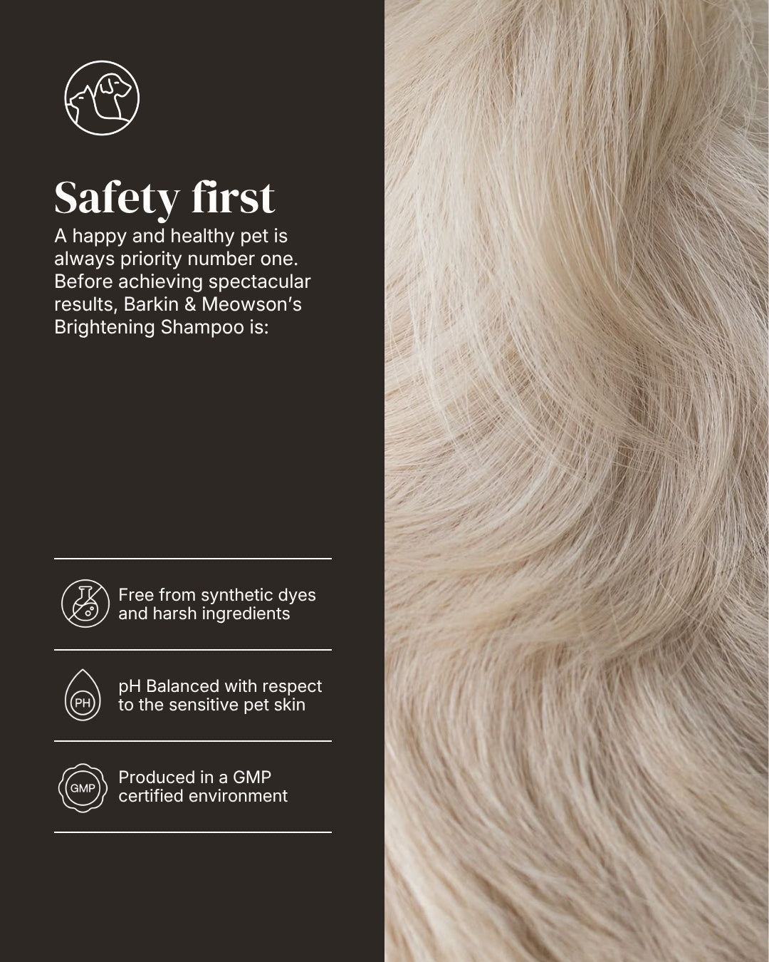 A promotional graphic for Barkin & Meowson's Brightening Shampoo, featuring a close-up of light beige/cream pet hair on the right and a dark brown text panel on the left with safety claims and icons.