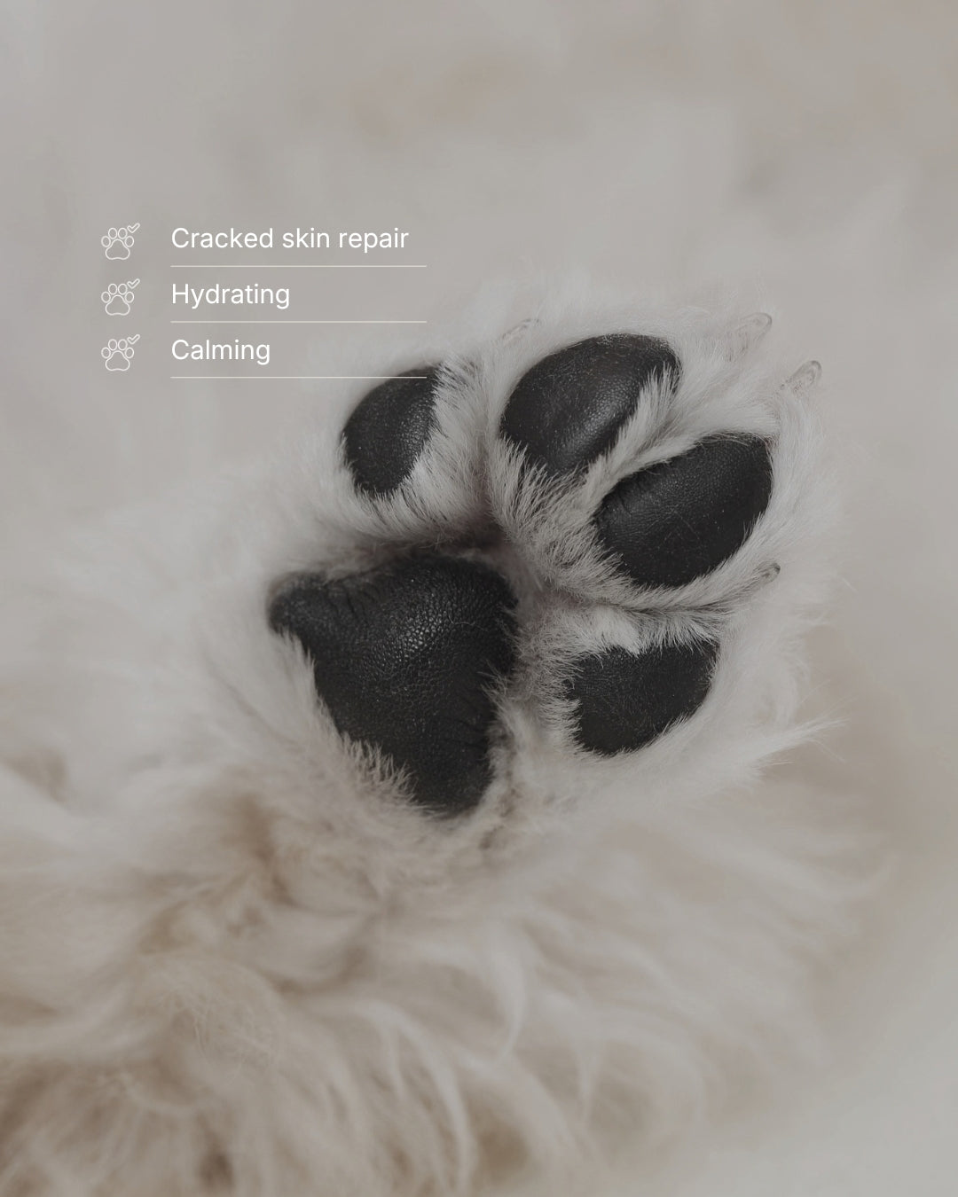 Hydrating Paw & Nose Balm