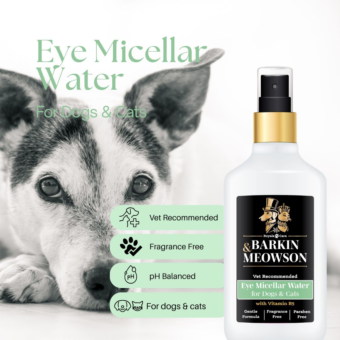 Micellar Water for Eyes