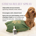 Dog sitting next to a green pillow with a bottle of stress relief spray on a white background