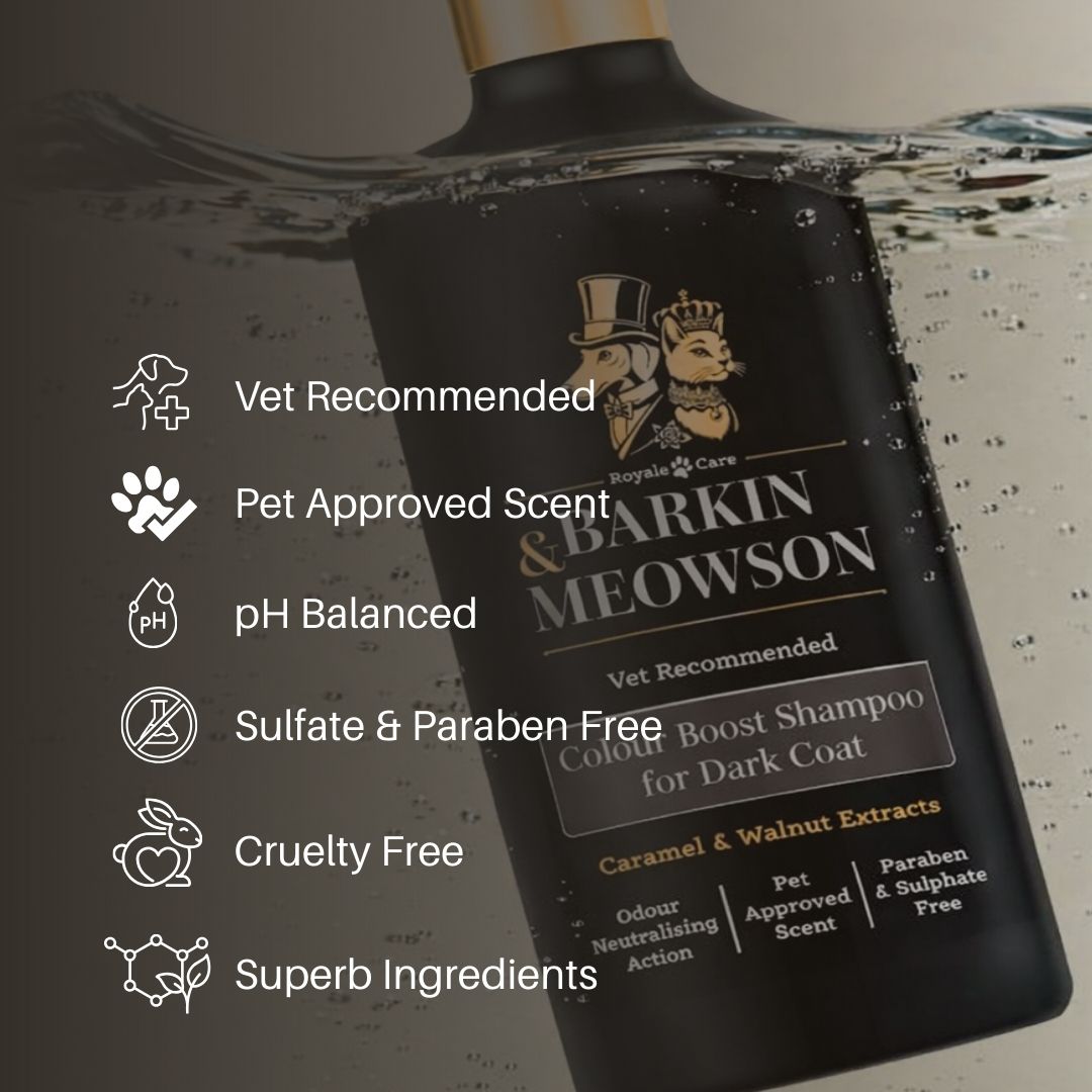 Dark Coat Shampoo