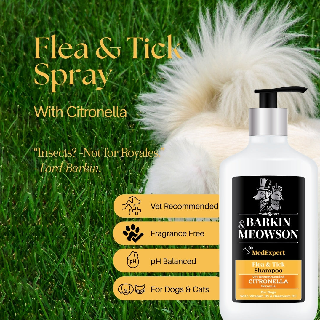 Flea & Tick Shampoo