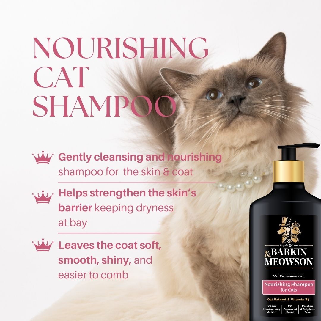 Cats & Kittens Shampoo – Barkin & Meowson