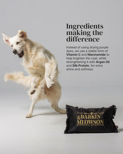 A light cream-colored dog jumps playfully on a light gray studio background next to a black fringed pillow with gold lettering that reads 'BARKIN MEOWSON'. The right side features black text reading 'Ingredients making the difference' with product description copy.