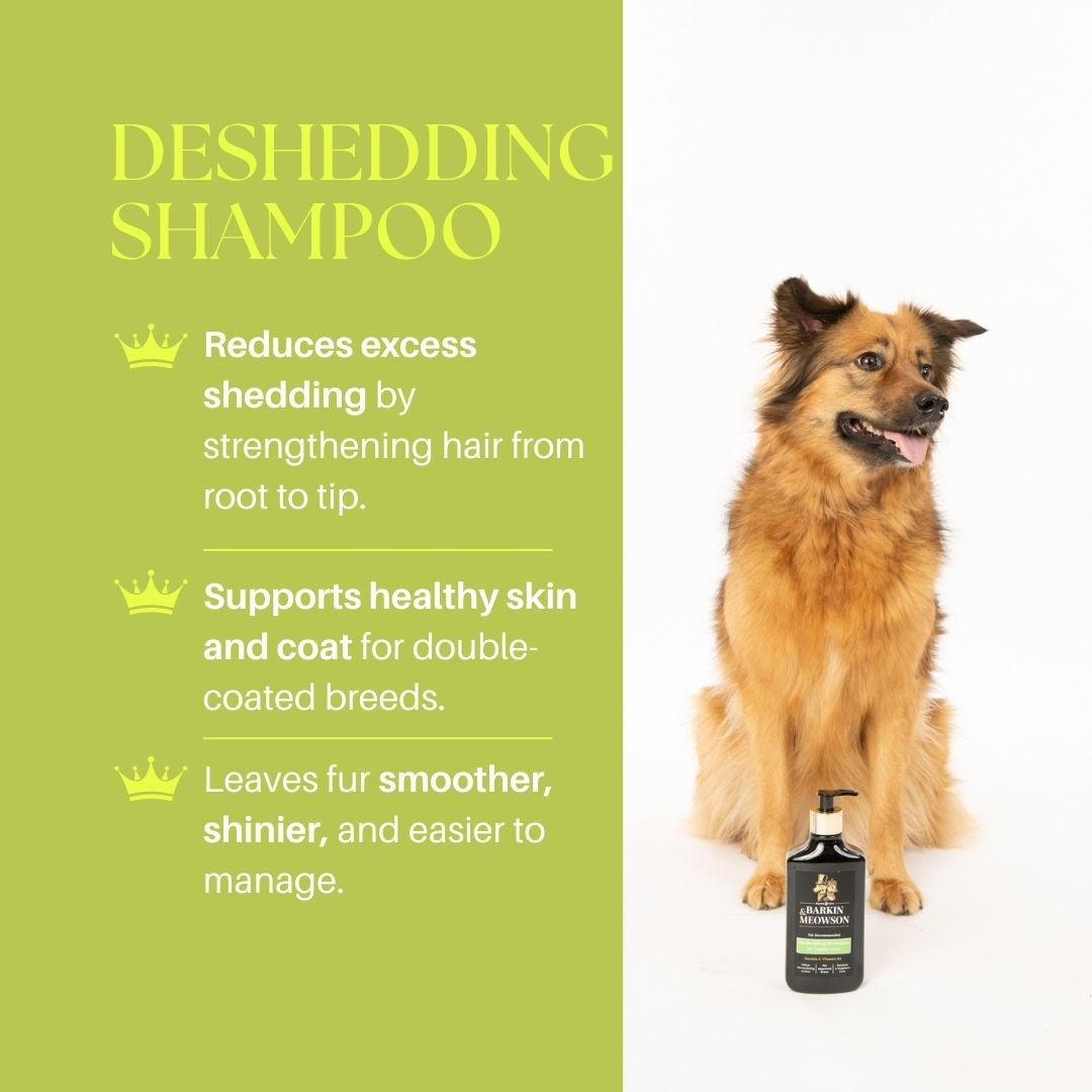 Dog with deshedding shampoo bottle and product benefits on a green background