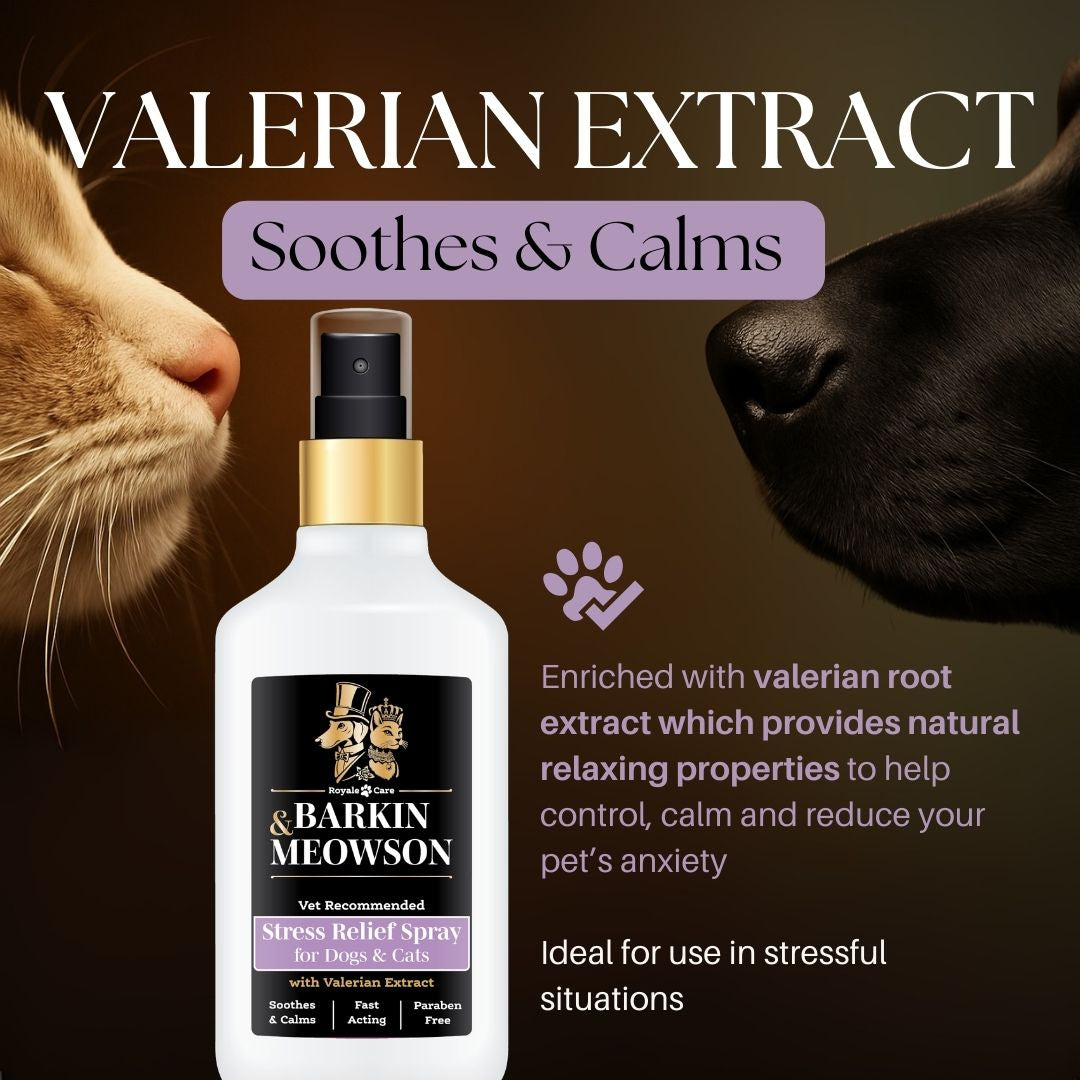 Barkin & Meowson stress relief spray for pets with a cat and dog on a brown background.