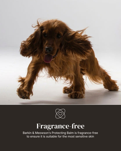 Protecting Paw & Nose Balm