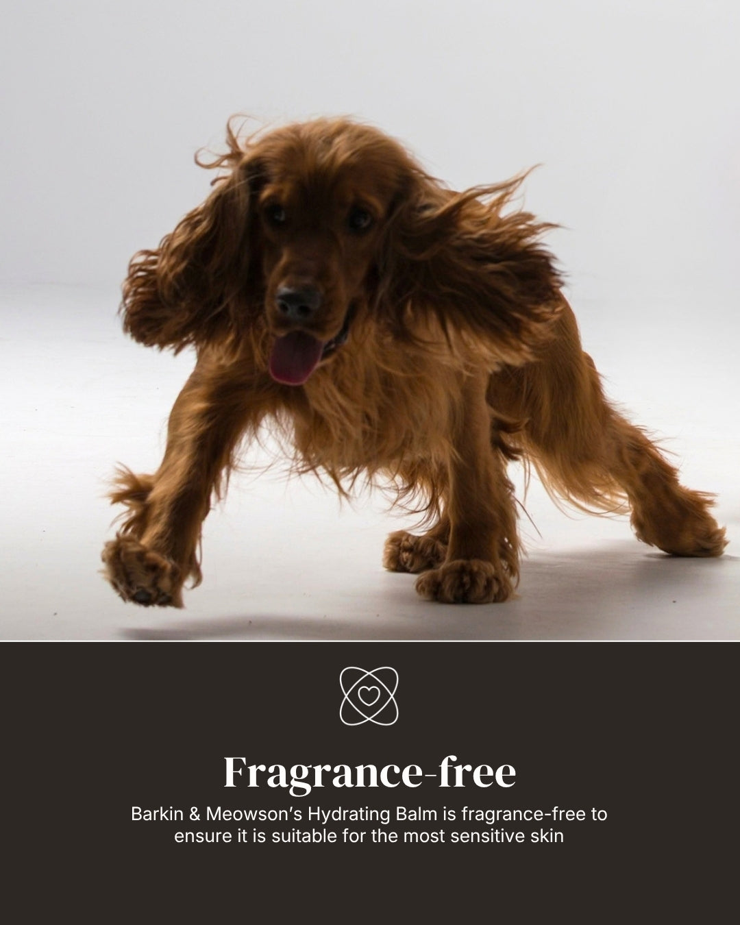 Hydrating Paw & Nose Balm