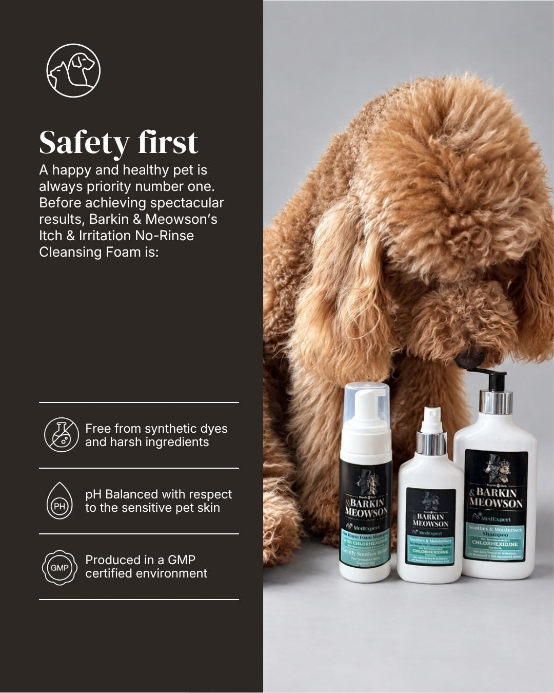 Chlorhexidine Dry Foam Shampoo