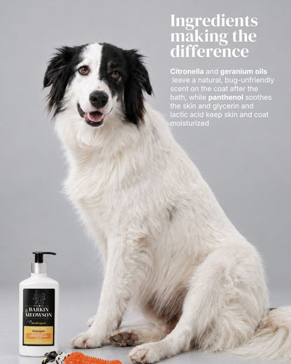Flea & Tick Shampoo