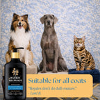 Three dogs and a cat with a bottle of shampoo and conditioner, set against a blue patterned background.