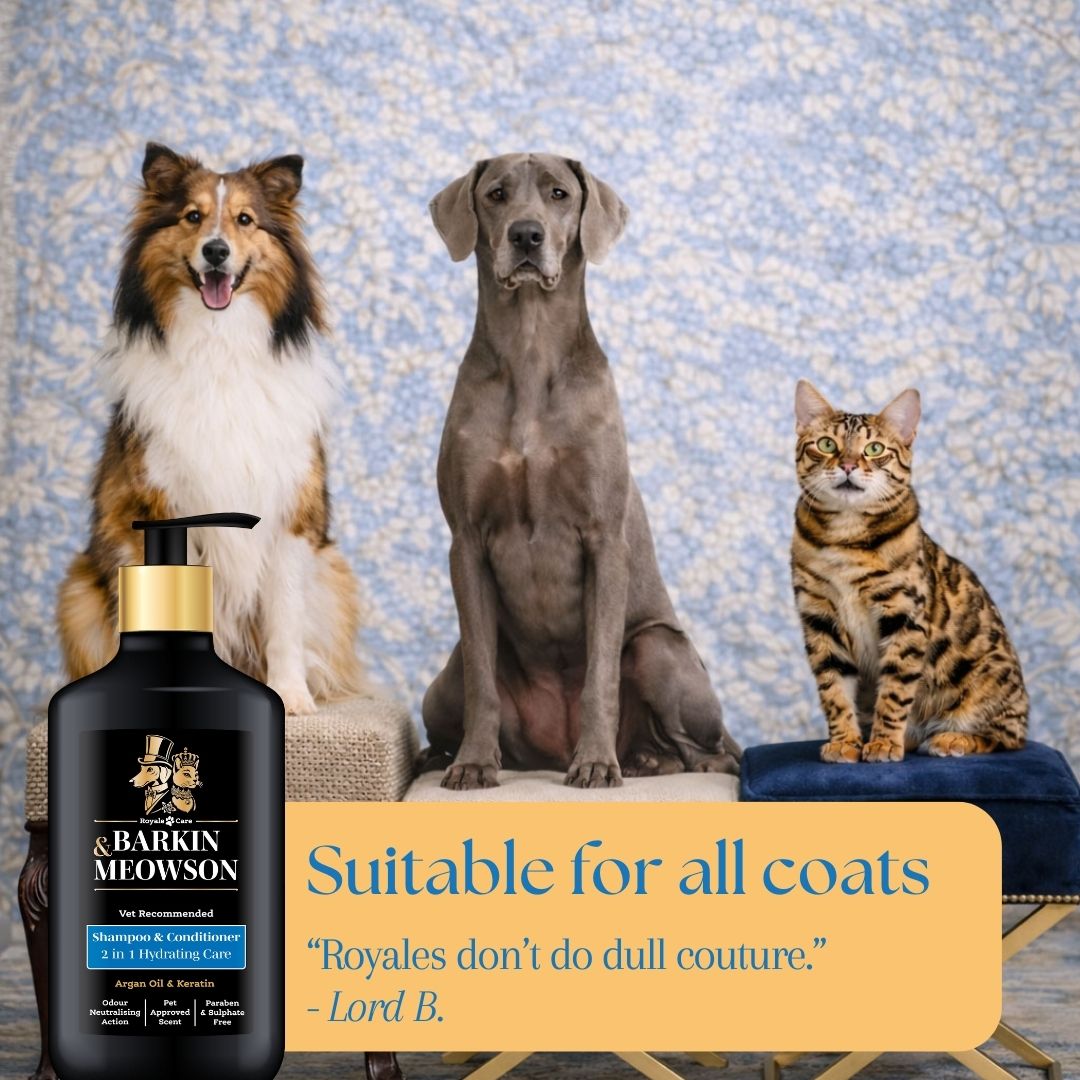 Three dogs and a cat with a bottle of shampoo and conditioner, set against a blue patterned background.