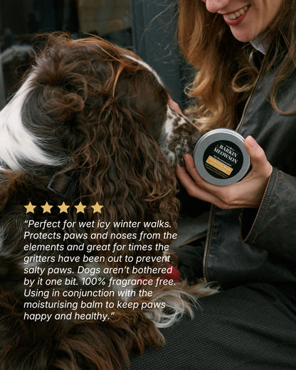 Protecting Paw & Nose Balm