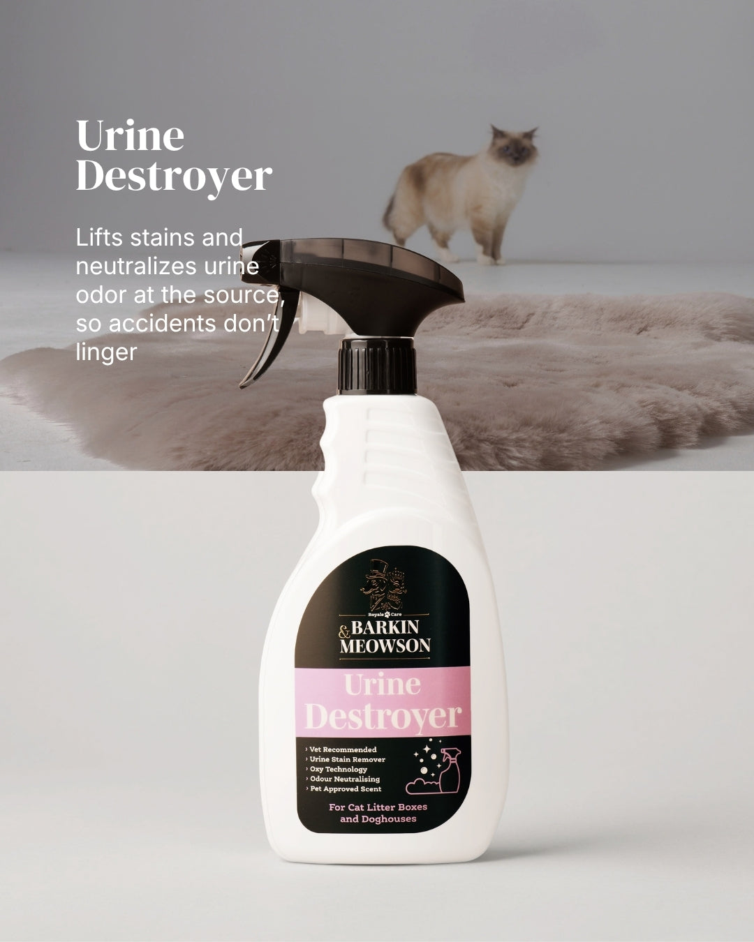 Puppy & Kitten Starter Set