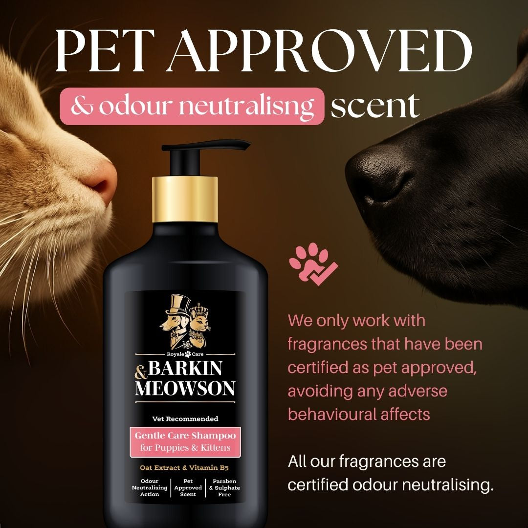 Barkin & Meowson pet shampoo bottle with a cat and dog sniffing it, on a brown background.