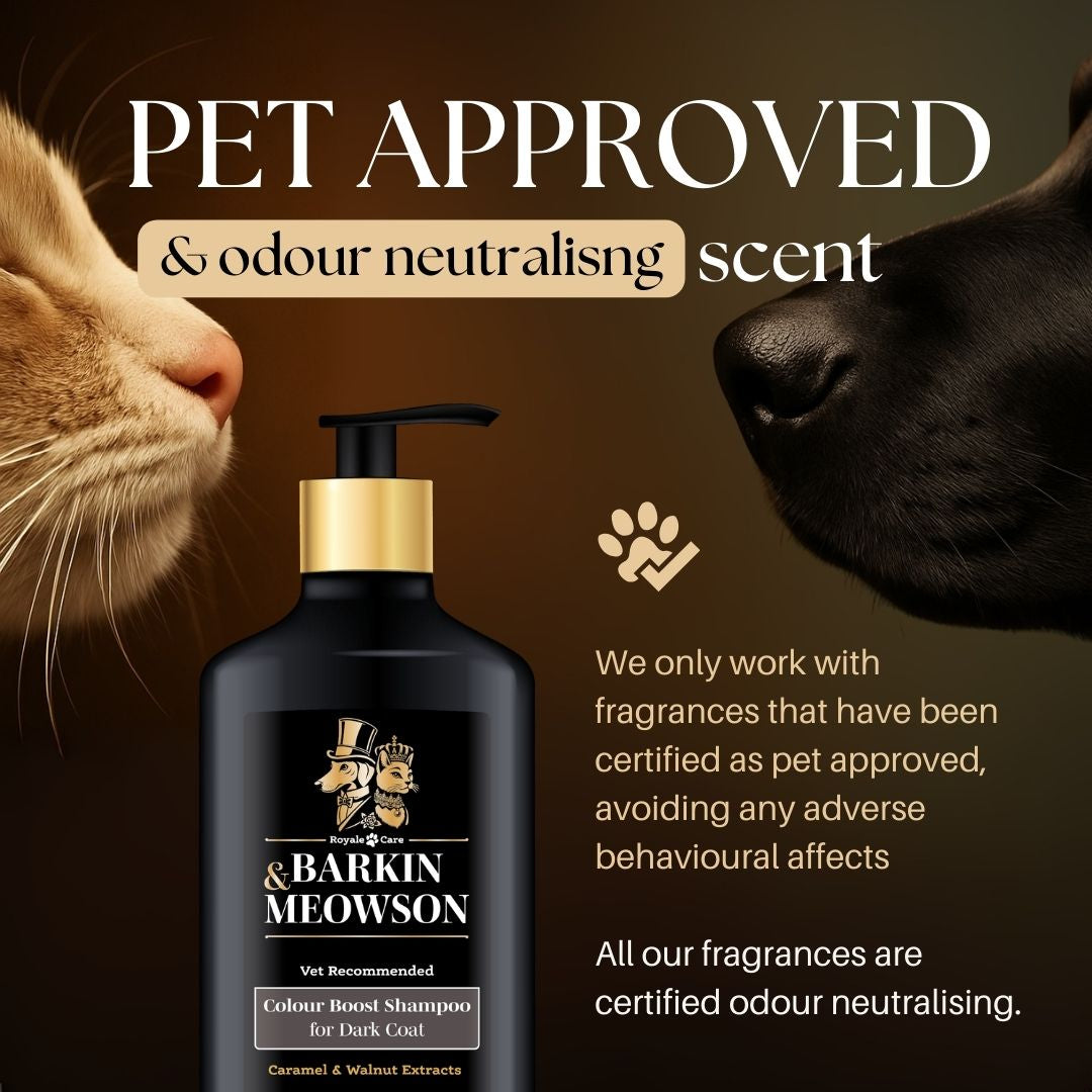 Barkin' Meowson shampoo bottle with a cat and dog sniffing each other on a brown background.