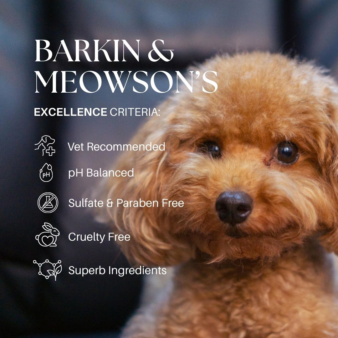 Brown dog with 'Barkin & Meowson' product features listed on a blurred background