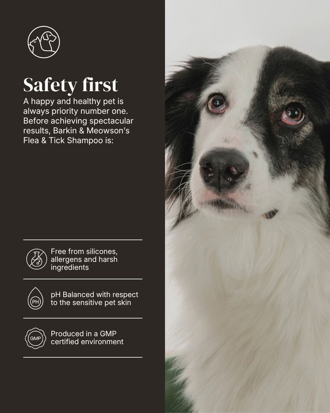 Flea & Tick Shampoo