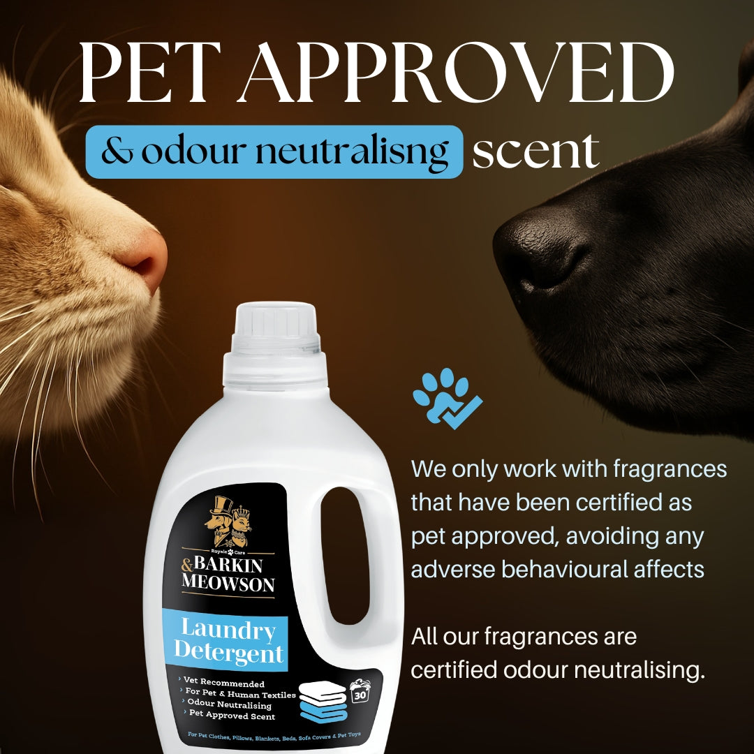 Barkin Meowson laundry detergent bottle with a cat and dog sniffing each other on a dark background.