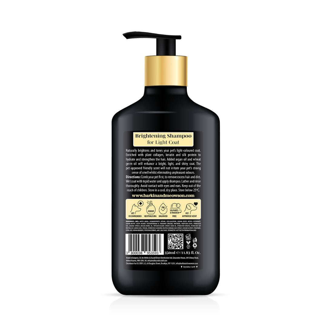 Black shampoo bottle with pump on a white background