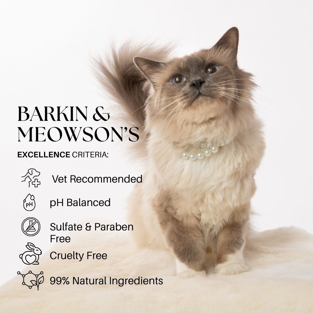 Cat wearing a pearl necklace with product features listed on a white background