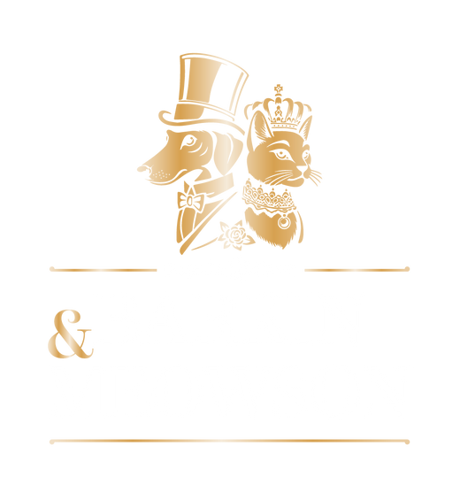 Barkin & Meowson