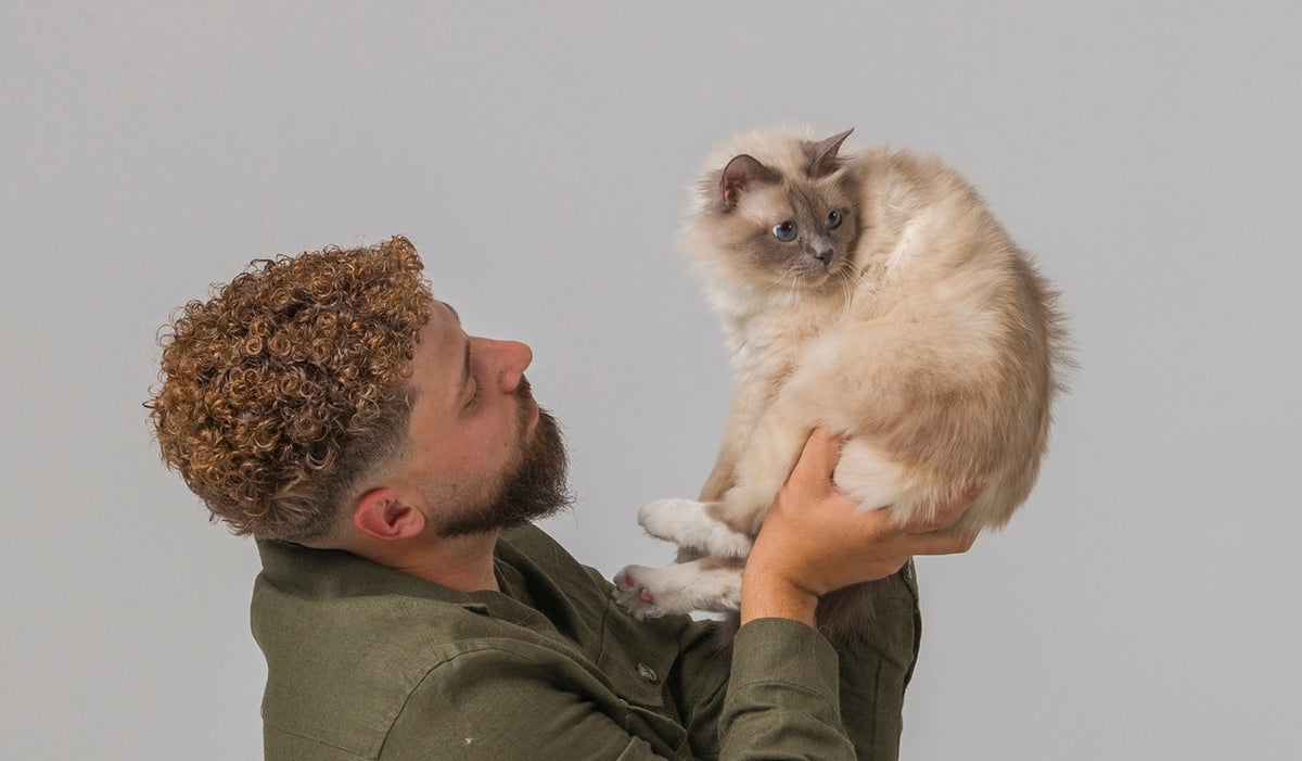 Cats