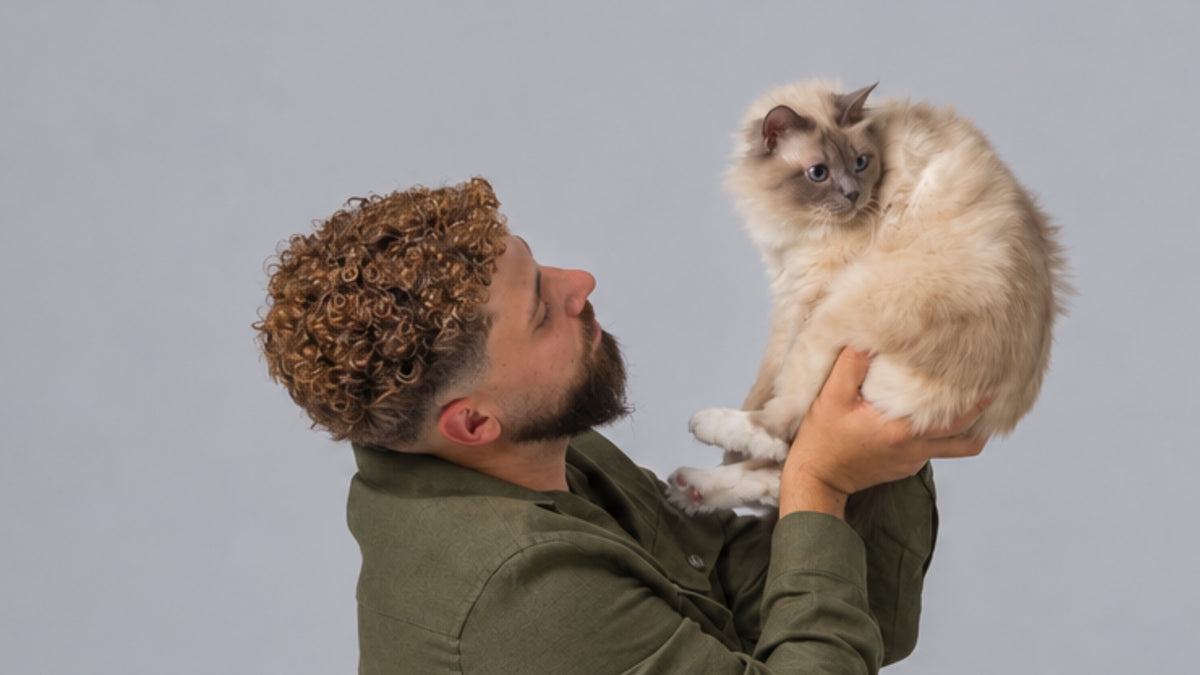 Cats
