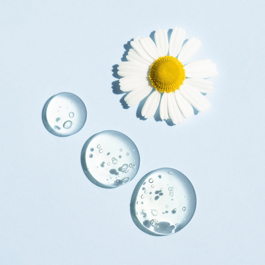 Chamomile Extract
