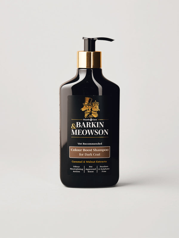 A bottle of Barkin Meowson Caramel Boost Shampoo for Dark Coat cats, featuring a matte black bottle with a gold pump collar and a black label with gold and white text, set against a light gray background.