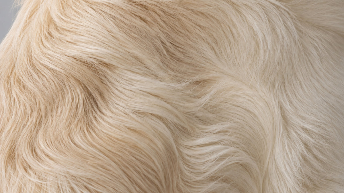 Conditioners