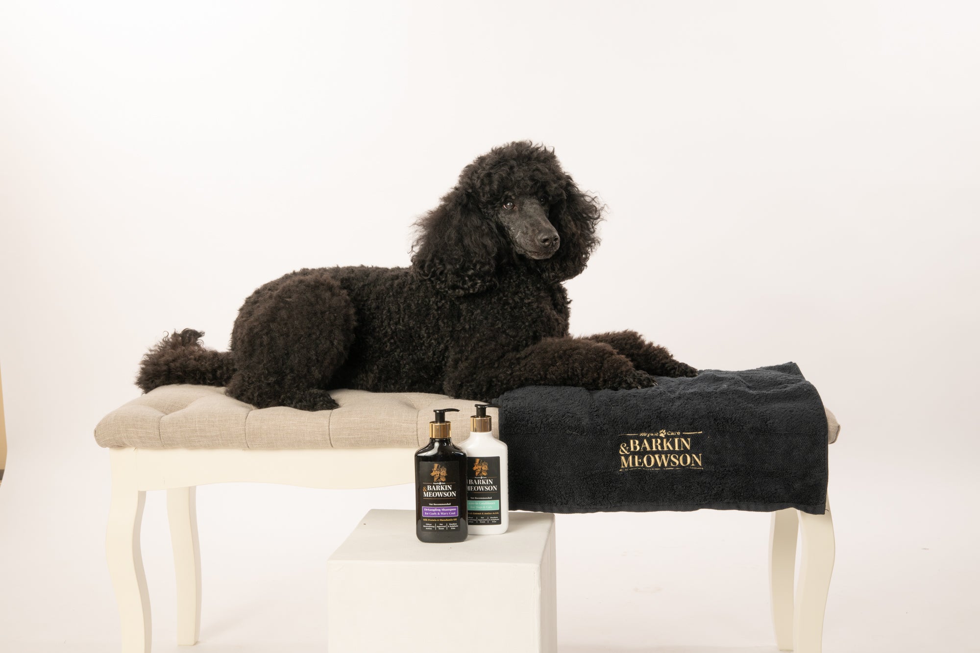 Black poodle lying on a bench with Barkin & Meowson products displayed
