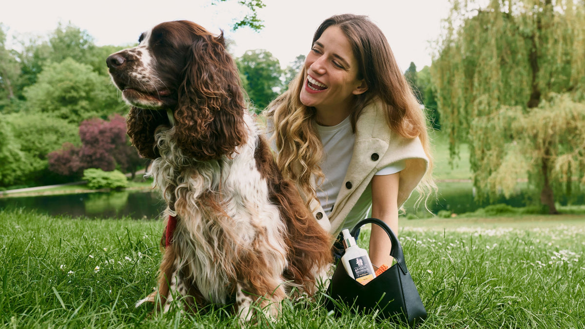Flea & Tick