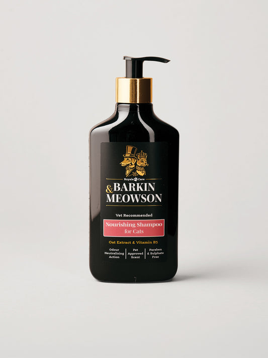 Cats & Kittens Shampoo